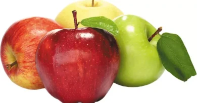خواص سیب برای بدن؛ از لاغری تا سلامت قلب