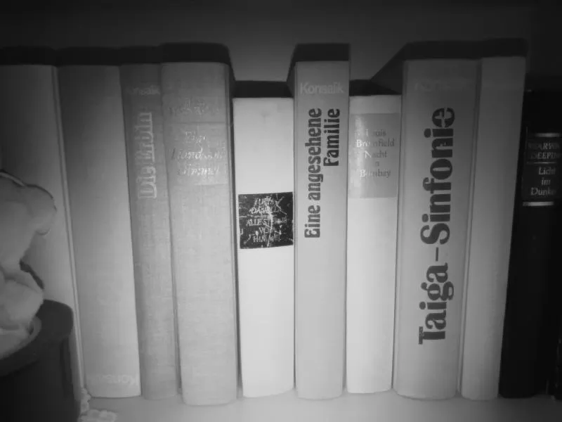 عکس دوربین دید در شب گوشی Oukitel WP60